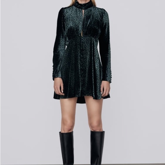 ZARA PRINTED VELVET DRESS - Picture 2 of 5